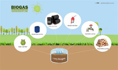 MANFAAT PEMANFAATAN ENERGI ALTERNATIF BIOGAS DALAM KEHIDUPAN SEHARI HARI