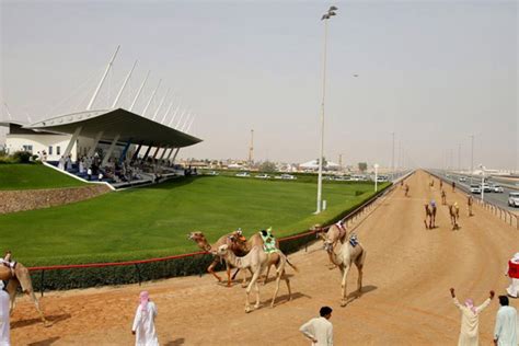 Experience the excitement of a camel race in Dubai