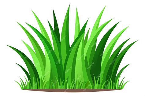 Premium Vector | Green grass vector on white background