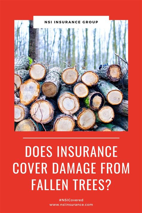 Will Insurance Cover A Tree Falling On Your House Homeowners