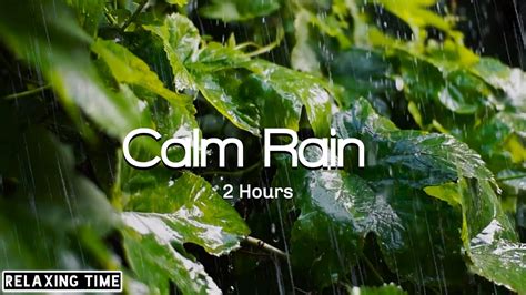 Rain Sounds For Sleeping Sleep Study Relaxing To Help You Calm Down💤