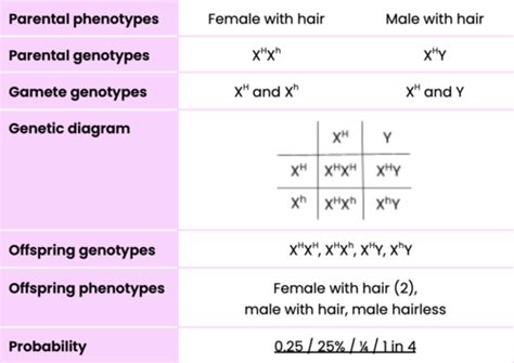 71 Sex Linkage Flashcards Quizlet