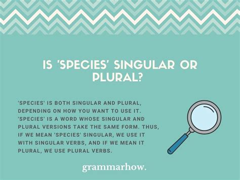 Is Species Singular Or Plural Explained With Examples