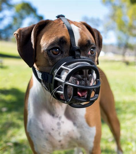 Baskerville Ultra Muzzle (black) | ACES