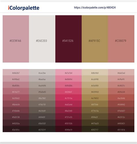 740+ Latest Color Schemes with Old Rose Color tone combinations | 2021 | iColorpalette