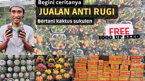 Giveaway Biji Kaktus Usaha Anti Rugi Bertani Kaktus