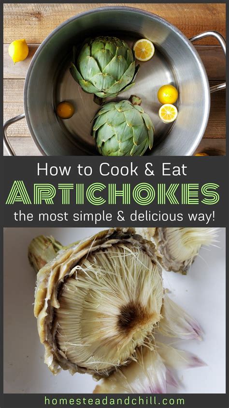 Easy Steam Boiled Artichokes How To Eat An Artichoke Recipe Artichoke Recipes Fresh