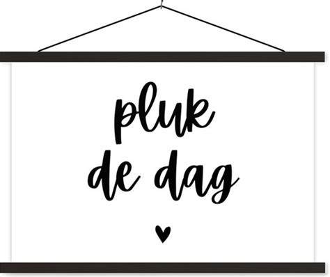 Pluk De Dag Carpe Diem Quotes Spreuken