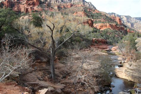 Oak Creek Canyon Arizona 5184x3456 Oc Rearthporn