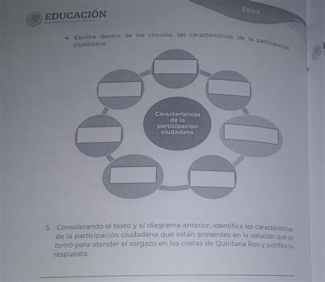 Caracteristicas Cortas De La Participacion Ciudadana Y La Pregunta De