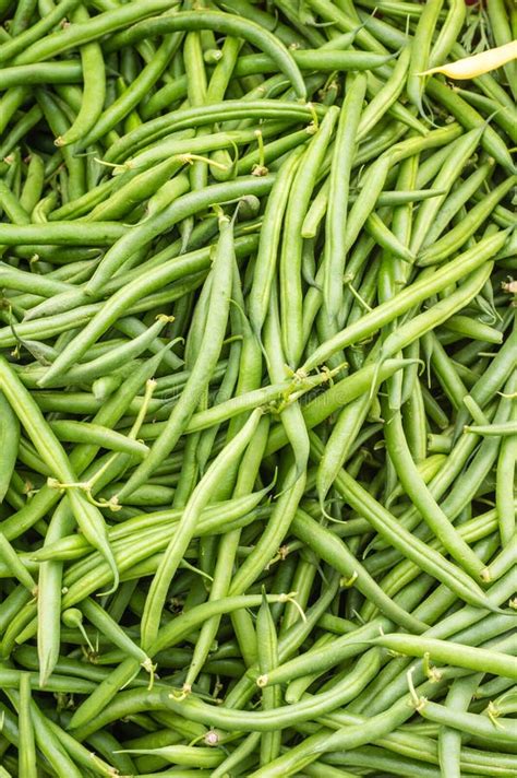 Green Or Snap Beans On Display Stock Photo Image Of Vegetable Food