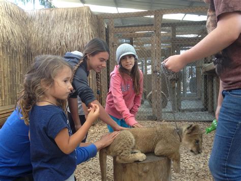 17 Best Campgrounds in Oregon • Nomads With A Purpose