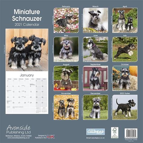 Miniatuur Schnauzer Kalender Bol