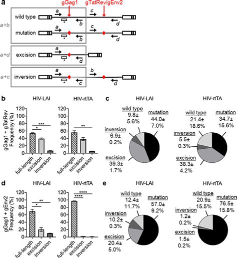 Figure 5 From Crispr Cas9 Dual Grna Attack Causes Mutation Excision