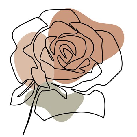 Aesthetic Rose Line Art Collection 21445458 PNG