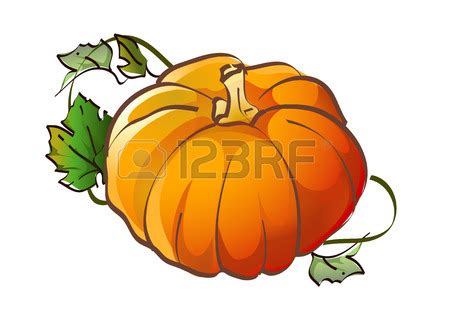 Pumpkin Vine Drawing | Free download on ClipArtMag