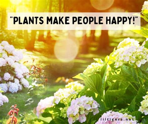 175 Inspirational Gardening Quotes for Kids - Lil Tigers