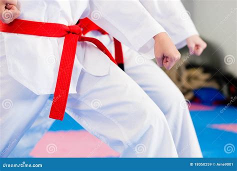 Martial Arts Sport Training In Gym Stock Image Image Of Power Makki