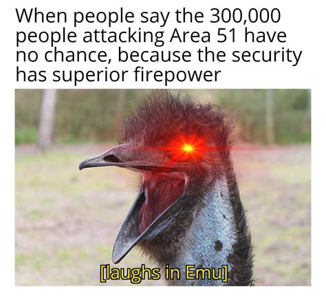 Didn't matter in the Great Emu war : memes