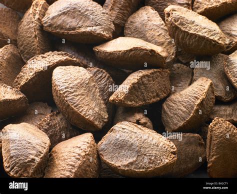 Brazil Nut Shells Stock Photo Alamy