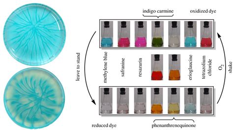 Patterns Formed In A Green Version Of The Reaction Ascorbic Acid Is