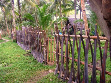 Coconut Petiole Fencing Richard Parker Flickr