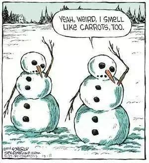 Snowman meme | Christmas humor, Christmas jokes, Winter humor