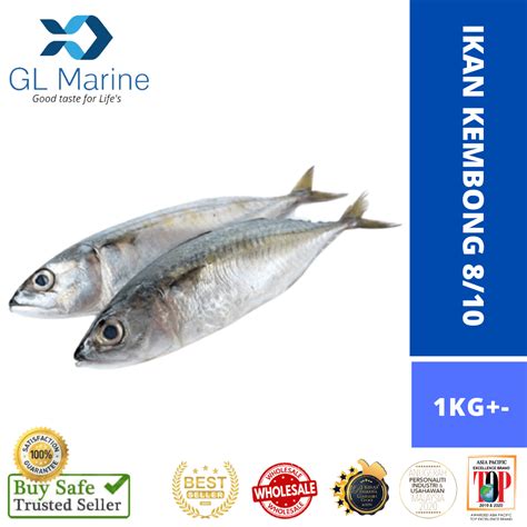 Ikan Kembong 810 1kg Gl Marine Frozen Sdn Bhd