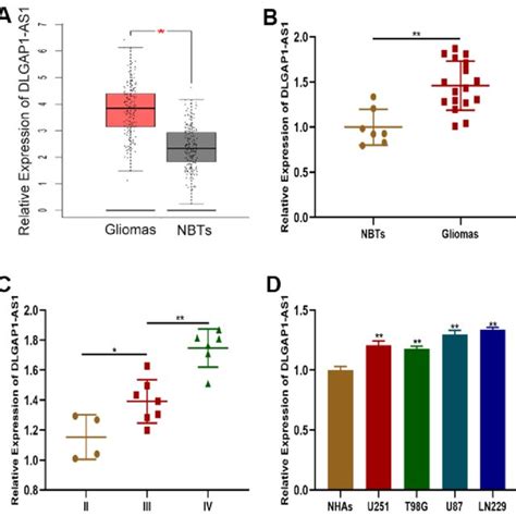 Dlgap1 As1 Expression Was Upregulated In Glioma Tissues And Cell Lines