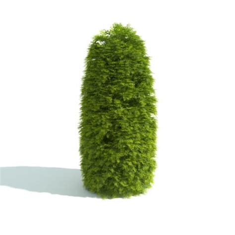 Hedge 3 Am192 Archmodels Max C4d Obj Fbx 3d Model Evermotion