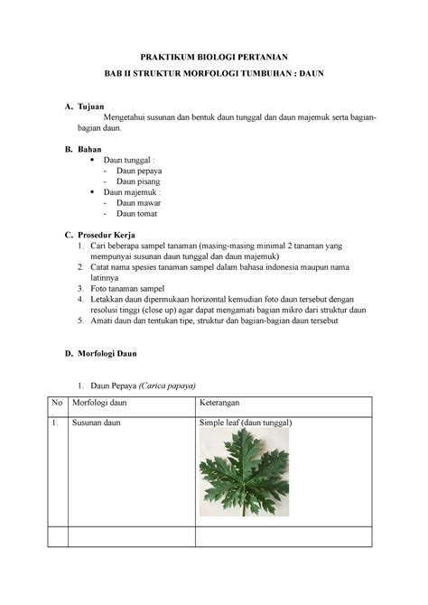Kelompok 2 Praktikum Struktur Morfologi Daun Praktikum Biologi