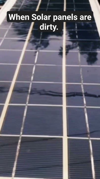 Cleaning Dirty Solar Panels 😂😂😂🤣🤣🤣🤣 Funny Comedy Electricity