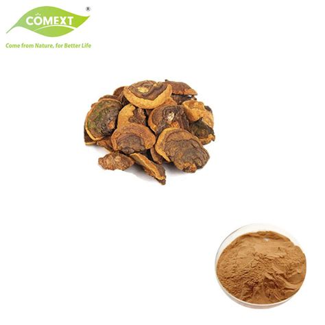 Comext Supply Organic Plant Extract Ganoderma Lucidum Extract Reishi