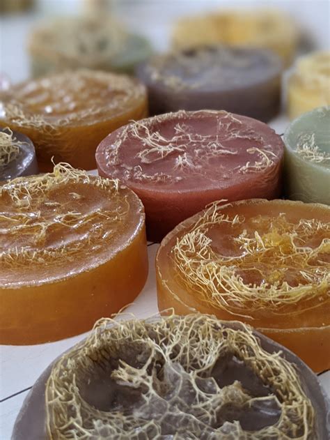 Exfoliating Goats Milk Loofah Soap Handcrafted Luffa Soap Etsy