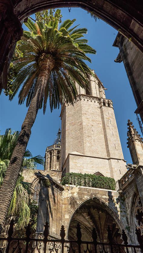 Catedral de Barcelona Cloister Photograph by Jared Windler | Fine Art America