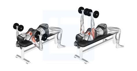 Dumbbell Bench Press - Guide, Benefits, and Form