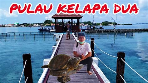 Pulau Kelapa Dua Pulau Seribu Penangkaran Penyu Youtube