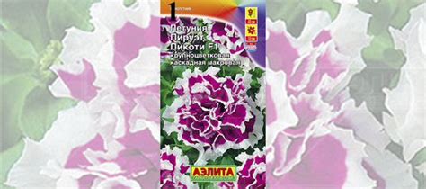 Петуния рассада 10 сортов купить в Красноярске | Товары для дома и дачи ...