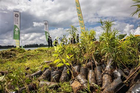 St John Ambulance Kenya On Twitter It Is Not All About Planting Trees