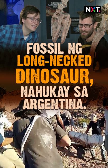 Arra Perez On Twitter RT ABSCBNNews Fossil Ng Long Necked Dinosaur