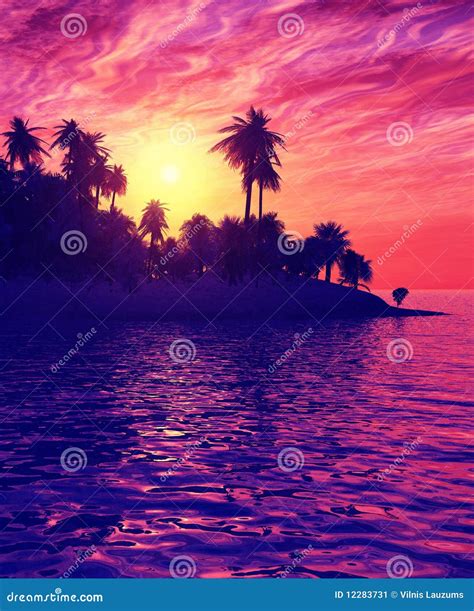 Beautiful Sunset Vector Illustrations Landscape 72128075