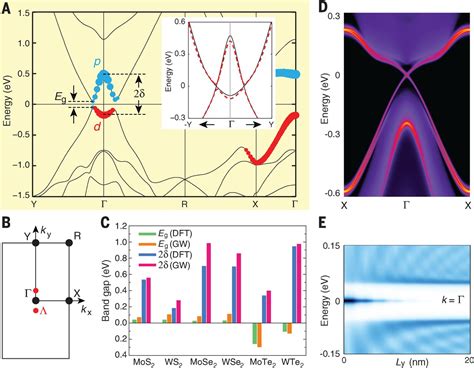 Quantum Spin Hall Effect In Two Dimensional Transition Metal