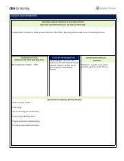 Vsim Clinicalreplacementstdtwksht Fillable Mh Pdf Concept Map