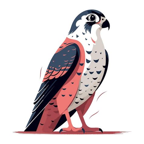 Premium Vector Peregrine Falcon Peregrine Falcon Vector Illustration