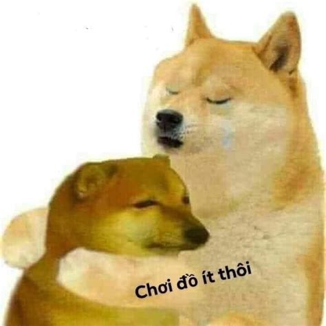 Ảnh Meme Cheems - Ảnh Chế Chó Vàng Shiba Hài Hước