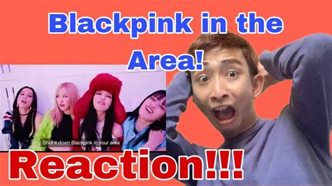 Blackpink Shut Down Official Mv Reaction Youtube