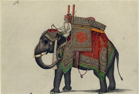 Elaborate War Elephant Armor Used In Warfare For Thousands Of Years