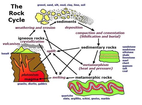 Simplified Rock Cycle Geology Rock Cycle Weathering And Erosion