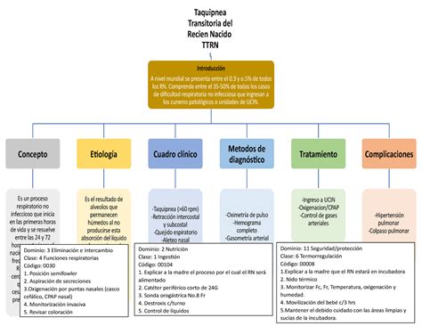 Mapa Conceptual Taquipnea Transitoria En El Recien Nacido Taquipnea