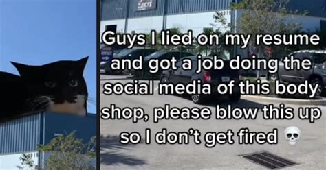 An Old Cat Meme Helped a Florida Auto Body Shop Go Viral in a Big Way ...